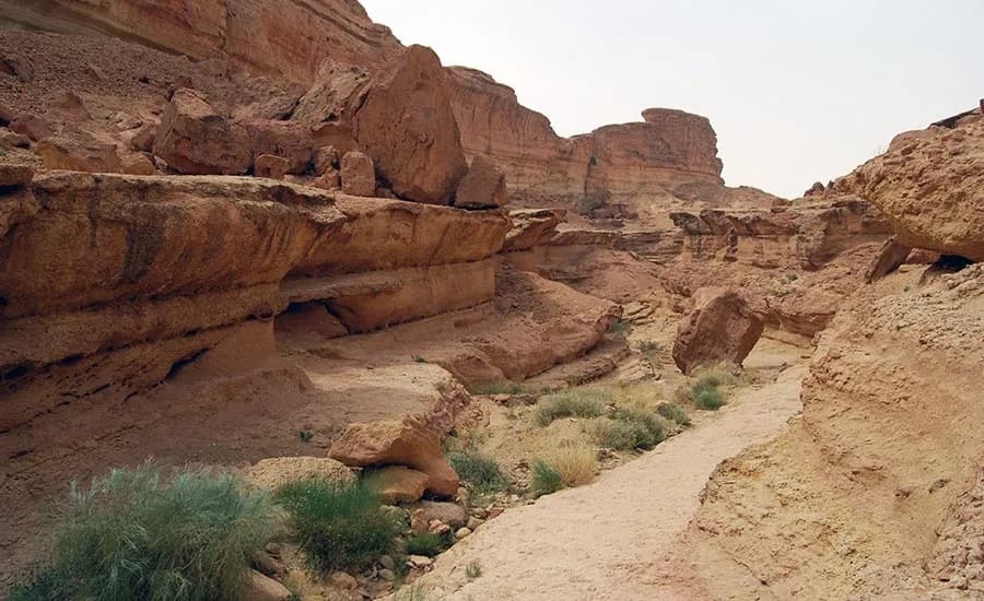Ark Standoff Canyon (Sidi Bouhlel)