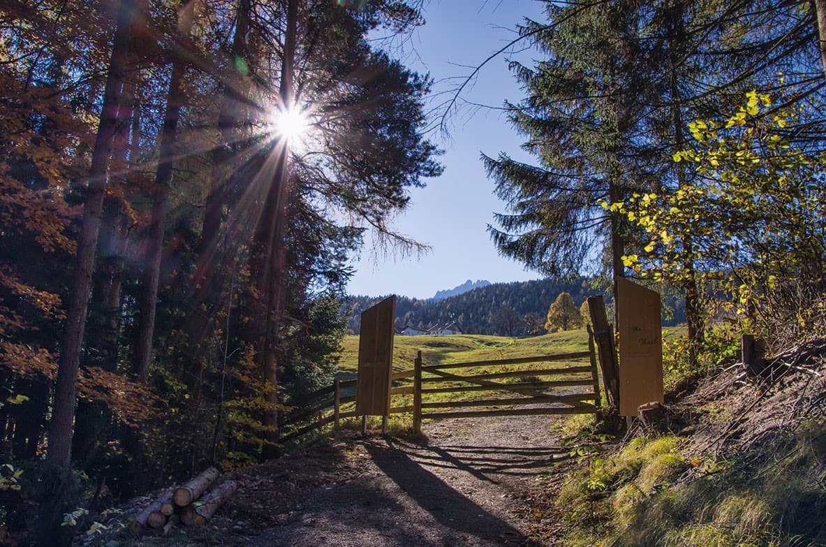 Do-Re-Mi Picnic Meadow (Werfen)